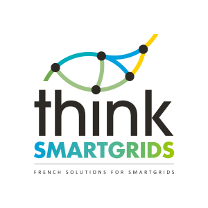 Logo Think Smartgrids