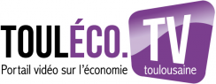 Logo Touléco TV