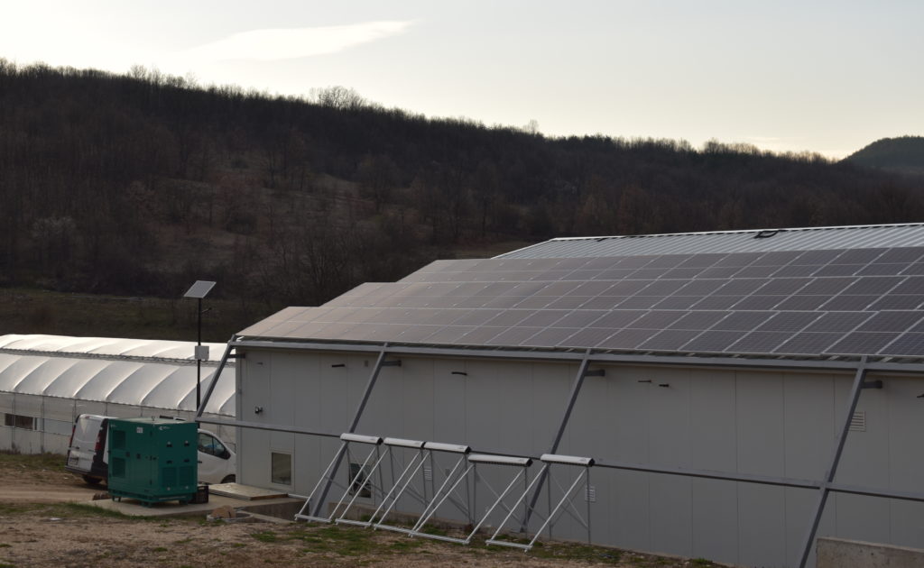 Instalación fotovoltaica de la biogranja Versol en Lyk (Bulgaria)