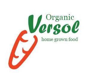 Logo Versol
