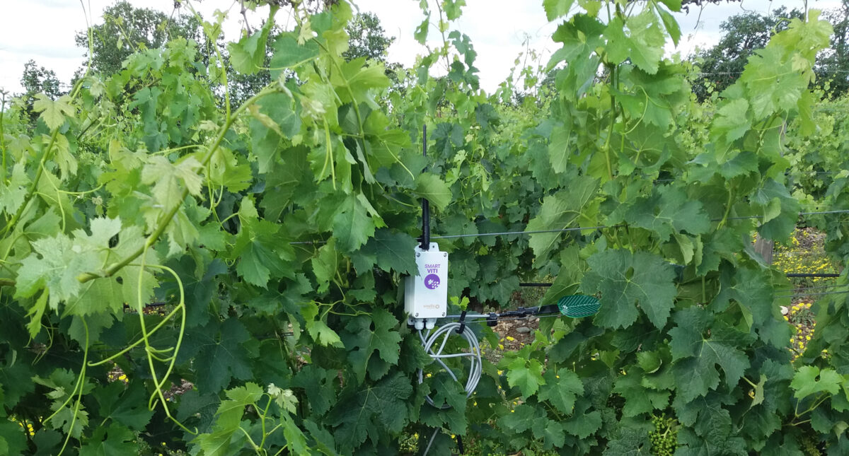 Optimiser le suivi environnemental et agronomique avec la technologie Sinafis